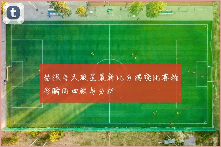 赫根与天狼星最新比分揭晓比赛精彩瞬间回顾与分析