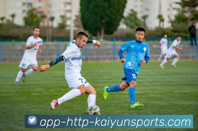 开云平台生态图